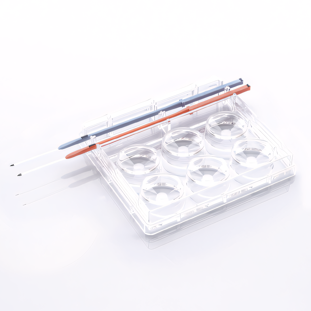 Placa de Cultura 6 Poços com suporte para Cryotop®