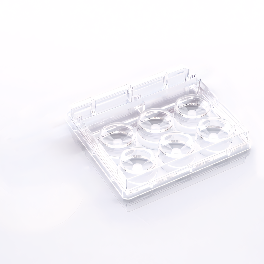 Placa de Cultura 6 Poços com suporte para Cryotop® imagem 2
