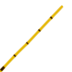 Cateter ureteral imagem 1